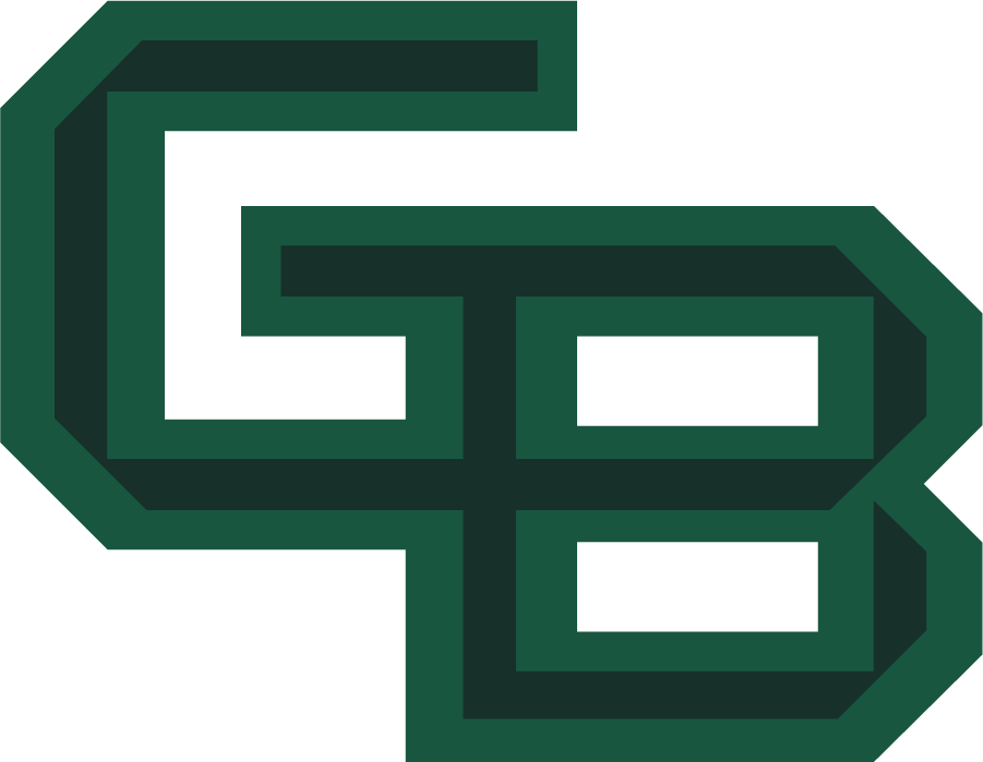 Wisconsin-Green Bay Phoenix 2018-Pres Primary Logo diy iron on heat transfer